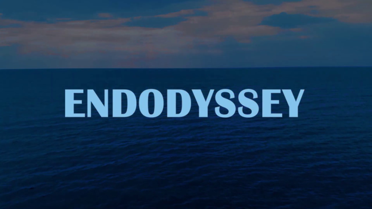 ENDODYSSE